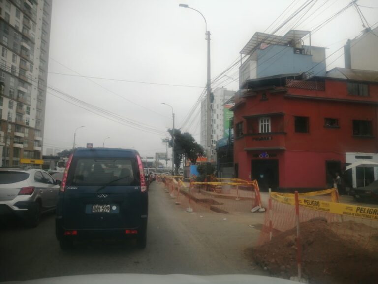 CORREO VECINAL ED. 1081